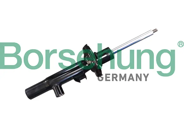 Stoßdämpfer Vorderachse Borsehung B11178