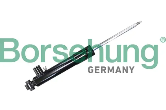 Stoßdämpfer Hinterachse Borsehung B11179 Bild Stoßdämpfer Hinterachse Borsehung B11179