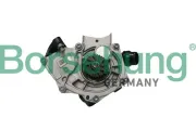 Wasserpumpe, Motorkühlung Borsehung B11209