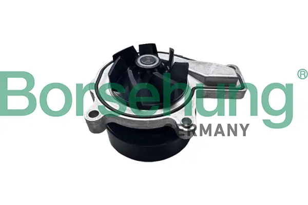 Wasserpumpe, Motorkühlung Borsehung B11219