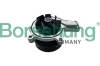 Wasserpumpe, Motork&uuml;hlung Borsehung B11219
