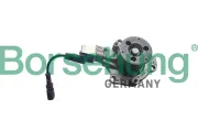 Wasserpumpe, Motorkühlung Borsehung B11224