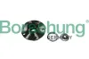 Radlagersatz hinten Borsehung B11287