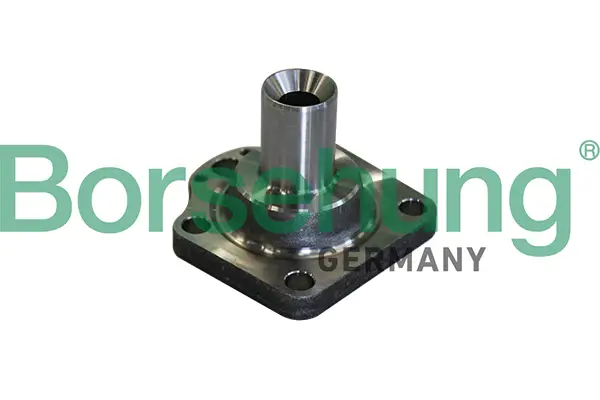 Radnabe Hinterachse Borsehung B11291