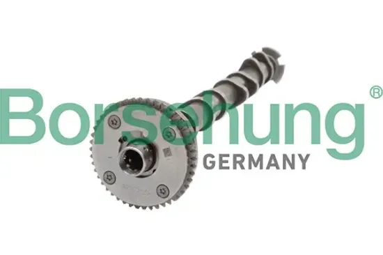 Nockenwelle Einlassseite Borsehung B11319 Bild Nockenwelle Einlassseite Borsehung B11319