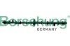Nockenwellenversteller Borsehung B11325