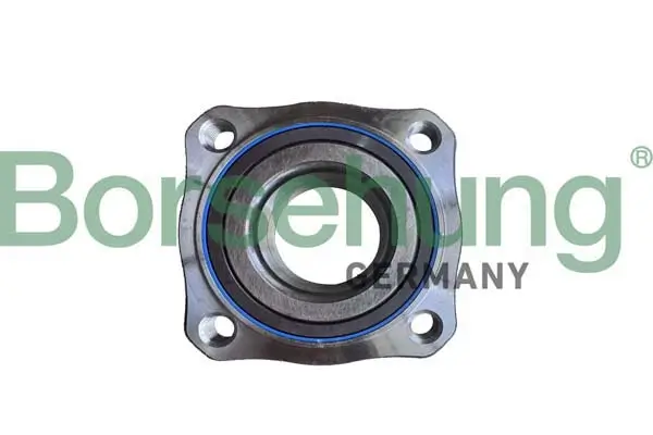 Radlagersatz Hinterachse Borsehung B11712