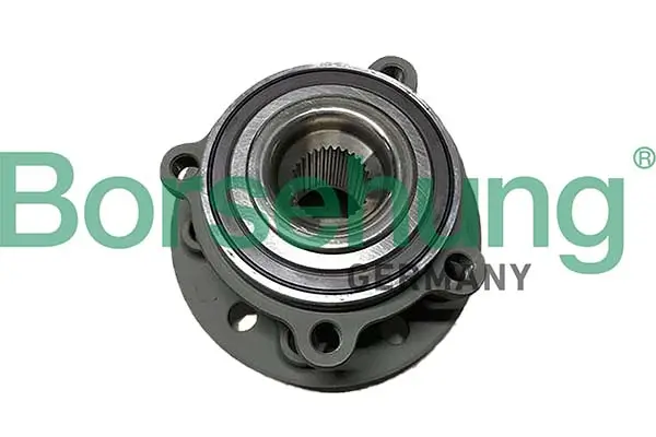 Radlagersatz Vorderachse Borsehung B11717