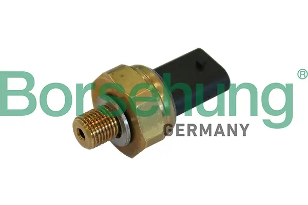 Sensor, Öldruck Borsehung B11844