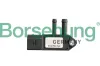 Sensor, Abgasdruck Borsehung B11883