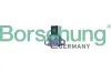 Sensor, Kraftstoffdruck Borsehung B11886