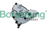 Ölpumpe Borsehung B11902