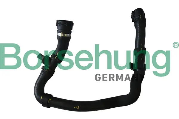 Kühlerschlauch Borsehung B11960