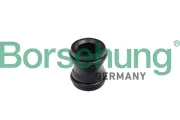 Kühlmittelflansch Borsehung B11991