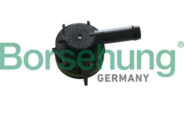Ventil, Kurbelgehäuseentlüftung Borsehung B12000