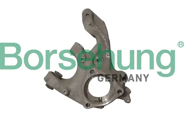 Achsschenkel, Radaufhängung hinten links Borsehung B12114