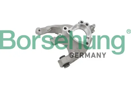 Achsschenkel, Radaufhängung hinten links Borsehung B12114 Bild Achsschenkel, Radaufhängung hinten links Borsehung B12114