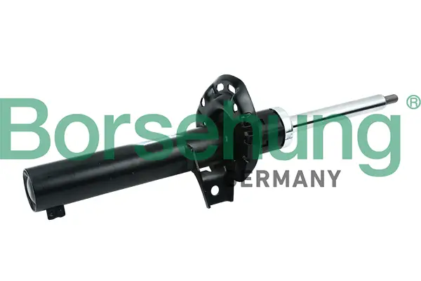Stoßdämpfer Vorderachse Borsehung B12132
