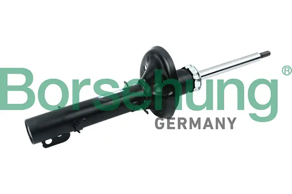 Stoßdämpfer Vorderachse Borsehung B12134
