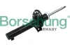 Stoßdämpfer Vorderachse Borsehung B12137
