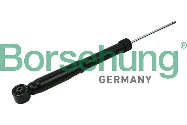 Stoßdämpfer Hinterachse Borsehung B12139