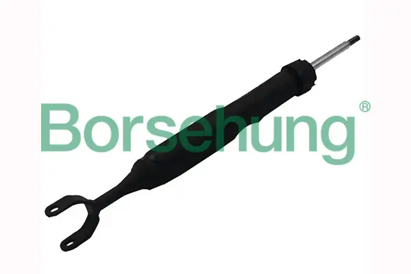 Stoßdämpfer Vorderachse Borsehung B12140