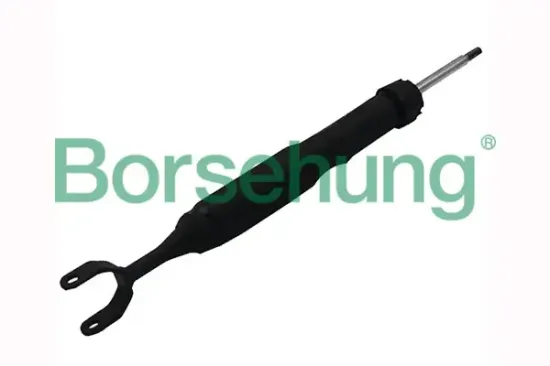 Stoßdämpfer Vorderachse Borsehung B12140 Bild Stoßdämpfer Vorderachse Borsehung B12140