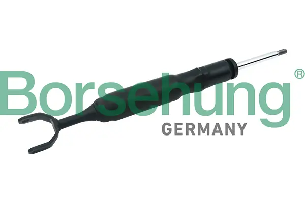 Stoßdämpfer Vorderachse Borsehung B12142