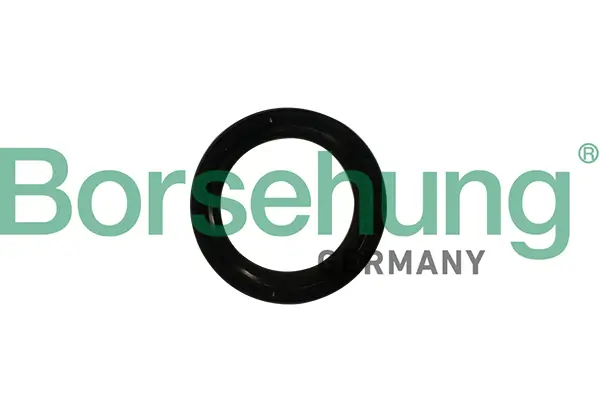 Wellendichtring, Kurbelwelle stirnseitig Borsehung B12179