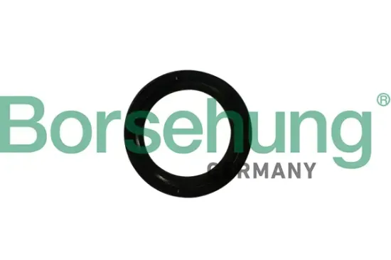 Wellendichtring, Kurbelwelle stirnseitig Borsehung B12179 Bild Wellendichtring, Kurbelwelle stirnseitig Borsehung B12179