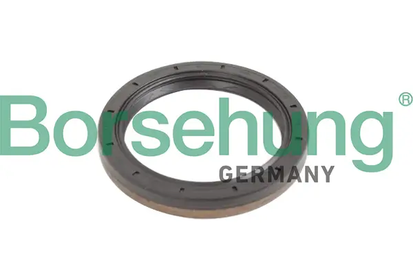 Wellendichtring, Schaltgetriebeflansch Borsehung B12193