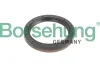 Wellendichtring, Schaltgetriebeflansch Borsehung B12193