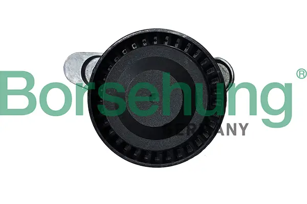 Riemenspanner, Keilrippenriemen Borsehung B12202