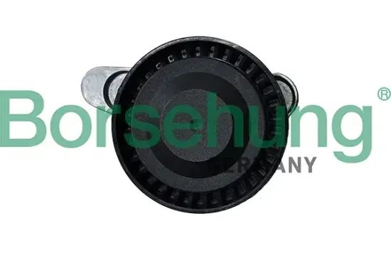 Riemenspanner, Keilrippenriemen Borsehung B12202 Bild Riemenspanner, Keilrippenriemen Borsehung B12202