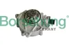 Unterdruckpumpe, Bremsanlage Borsehung B12222