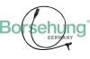 Sensor, Raddrehzahl hinten Borsehung B12253