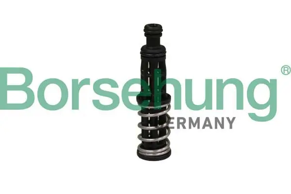 Öldruckventil Borsehung B12309
