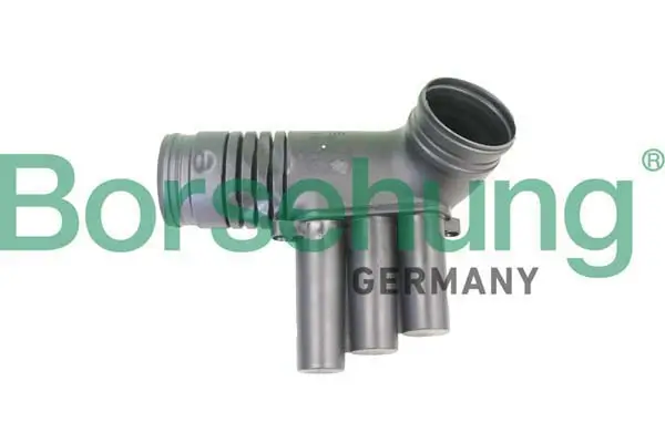 Ansaugschlauch, Luftfilter Borsehung B12330