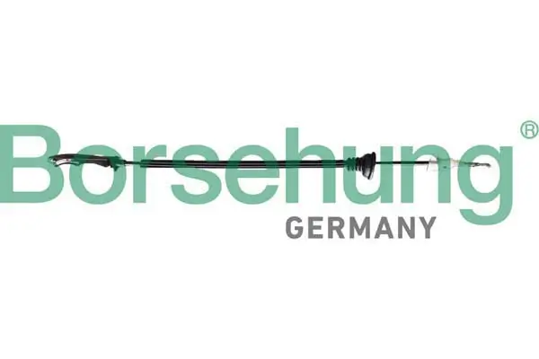 Seilzug, Türentriegelung hinten Borsehung B12338