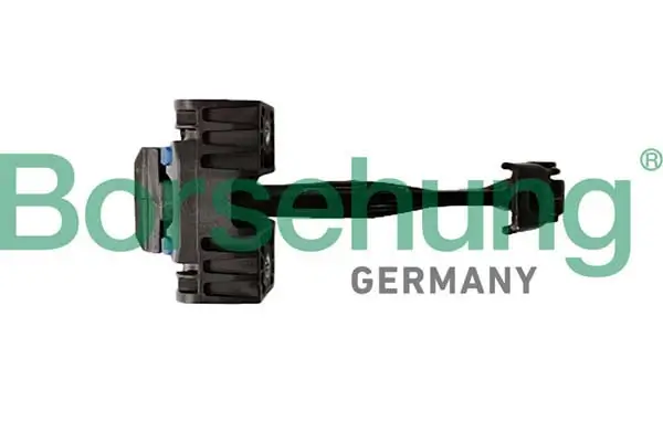 Türfeststeller hinten Borsehung B12373