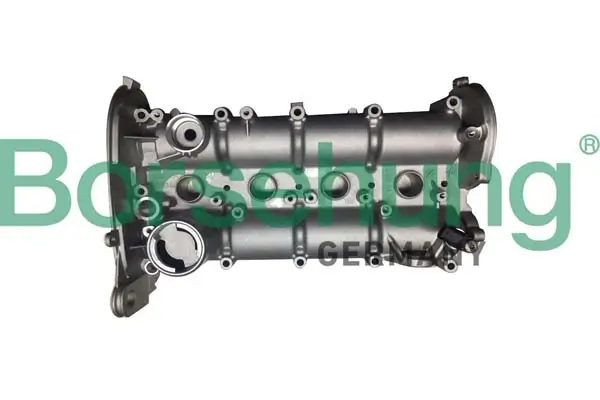 Zylinderkopfhaube Borsehung B12392