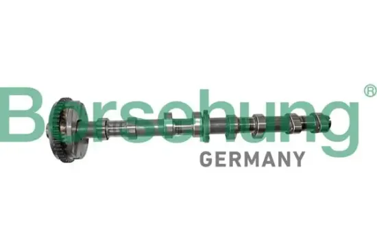 Nockenwelle Einlassseite Borsehung B12413 Bild Nockenwelle Einlassseite Borsehung B12413