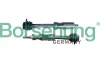 Arretierdorn, Ausgleichswelle Borsehung B12429 Bild Arretierdorn, Ausgleichswelle Borsehung B12429