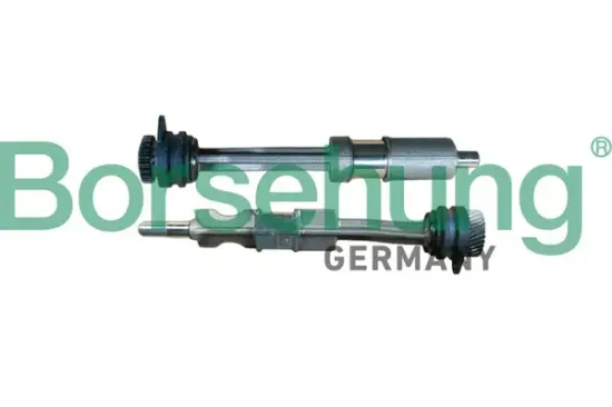 Arretierdorn, Ausgleichswelle Borsehung B12429 Bild Arretierdorn, Ausgleichswelle Borsehung B12429
