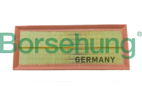Luftfilter Borsehung B12447