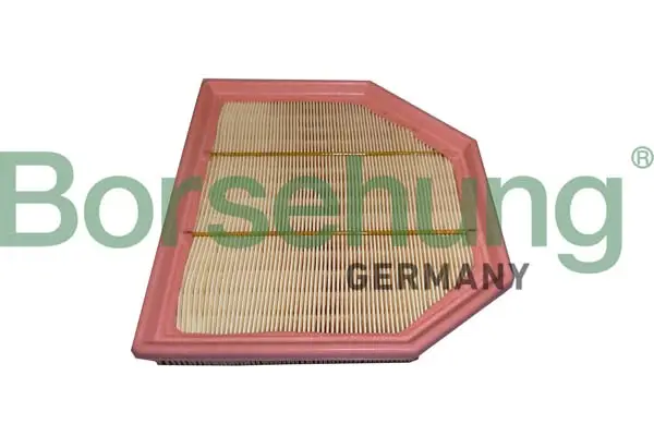 Luftfilter rechts Borsehung B12454