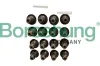 Dichtring, Ventilschaft Borsehung B12506
