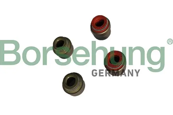 Dichtring, Ventilschaft Borsehung B12534