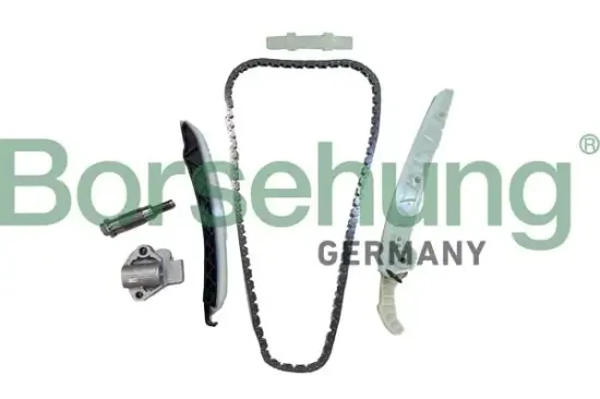 Steuerkettensatz Borsehung B12555 Bild Steuerkettensatz Borsehung B12555