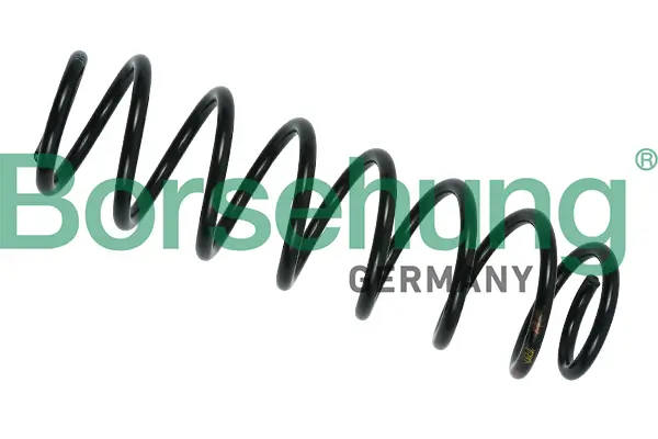 Fahrwerksfeder Hinterachse Borsehung B12560